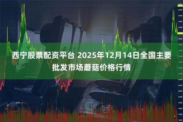 西宁股票配资平台 2025年12月14日全国主要批发市场蘑菇价格行情