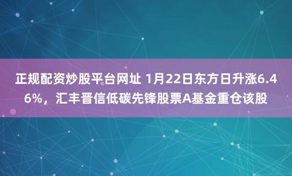 正规配资炒股平台网址 1月22日东方日升涨6.46%，汇丰晋信低碳先锋股票A基金重仓该股
