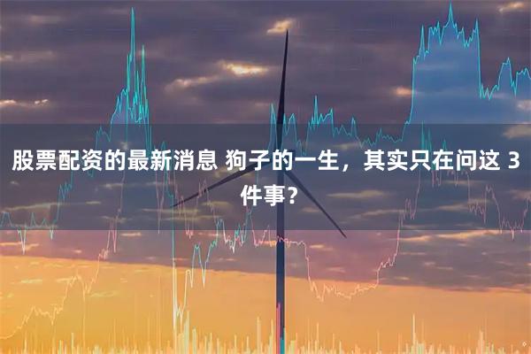 股票配资的最新消息 狗子的一生，其实只在问这 3 件事？