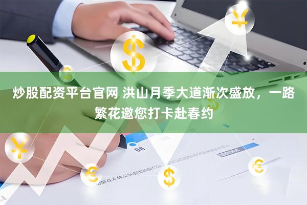 炒股配资平台官网 洪山月季大道渐次盛放，一路繁花邀您打卡赴春约