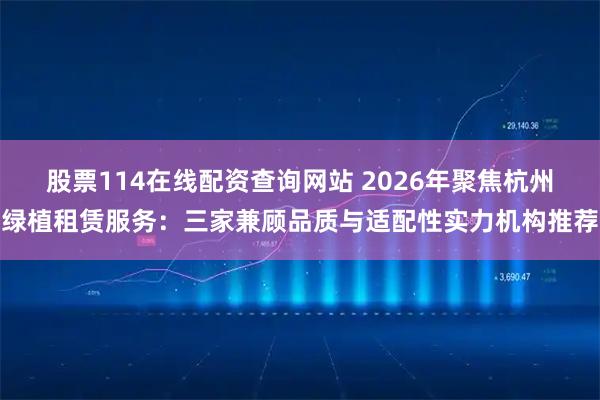 股票114在线配资查询网站 2026年聚焦杭州绿植租赁服务：三家兼顾品质与适配性实力机构推荐